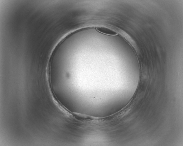 X0000073870958200608312049