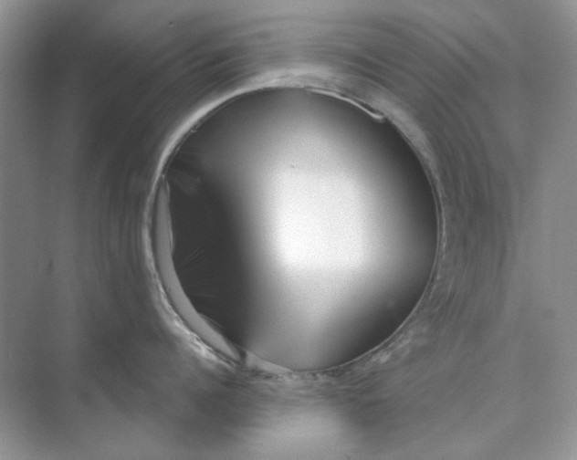 X0000073870960200608312049