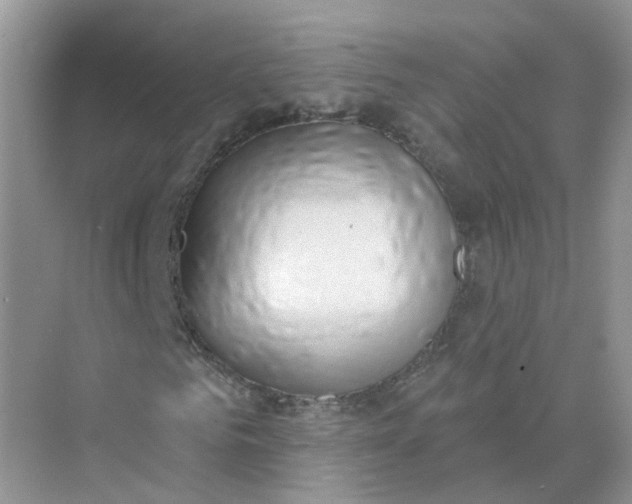 X0000073870961200608312048