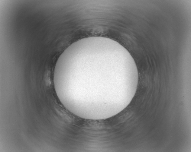 X0000073870962200608312048