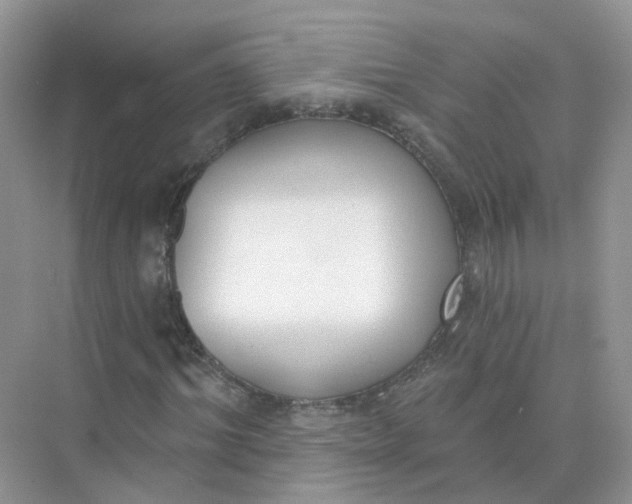 X0000073870964200608312048