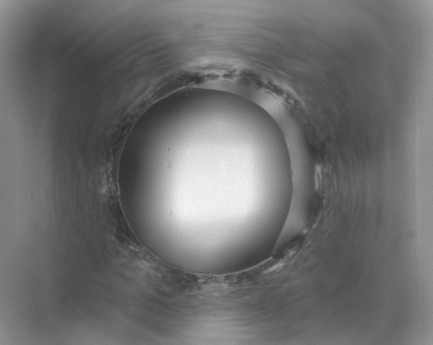 X0000073870965200608312048