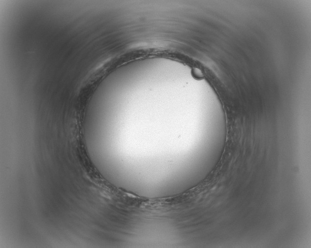 X0000073870967200608312048