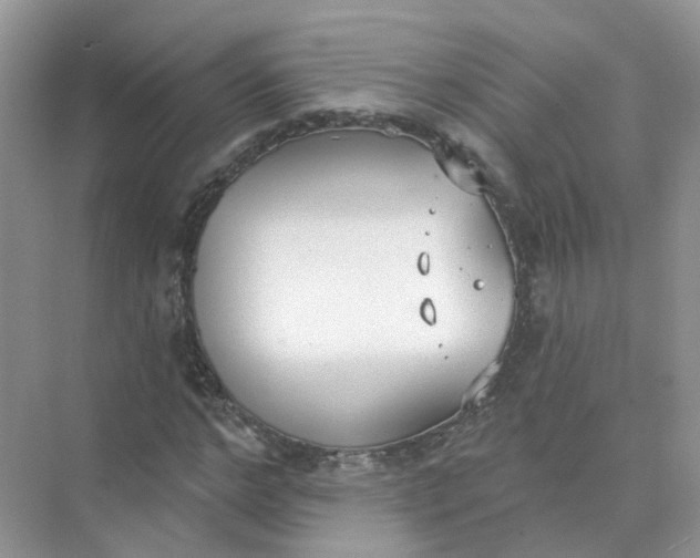 X0000073870968200608312048