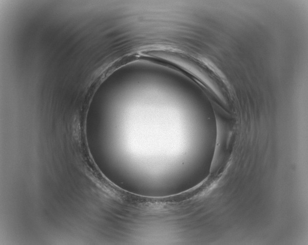 X0000073870969200608312048