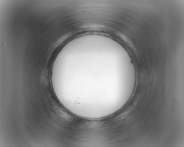 X0000073870970200608312048