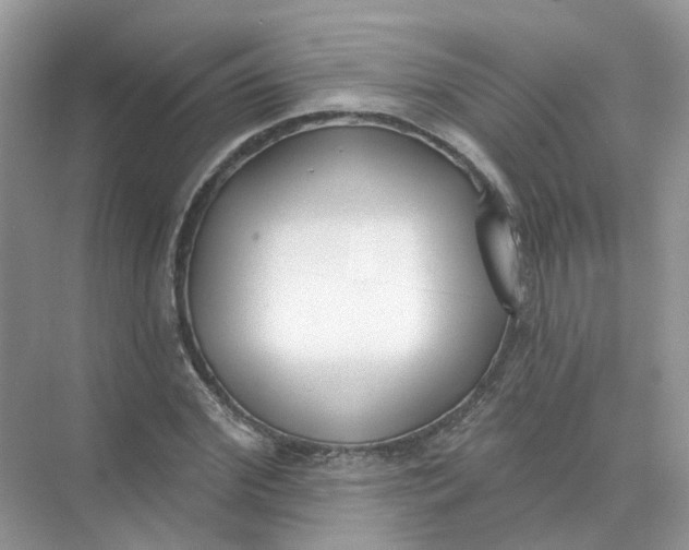 X0000073870972200608312048