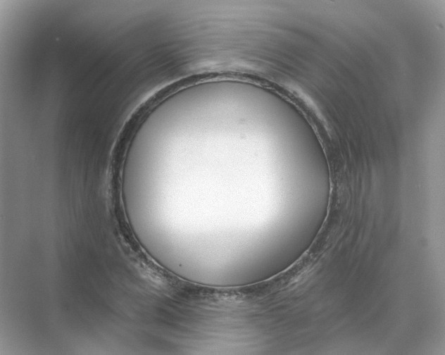 X0000073870975200608312048