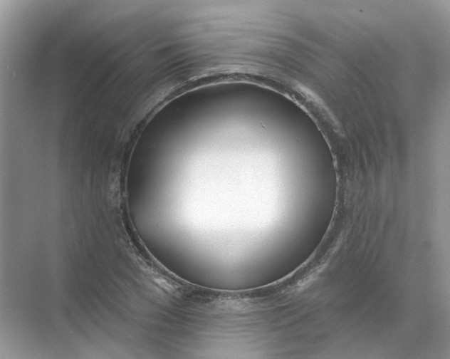 X0000073870977200608312048