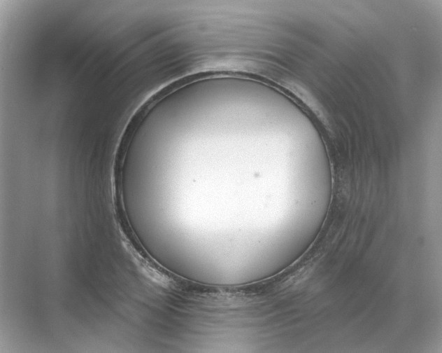 X0000073870980200608312048