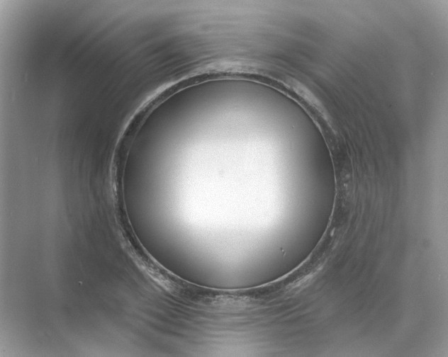 X0000073870981200608312048