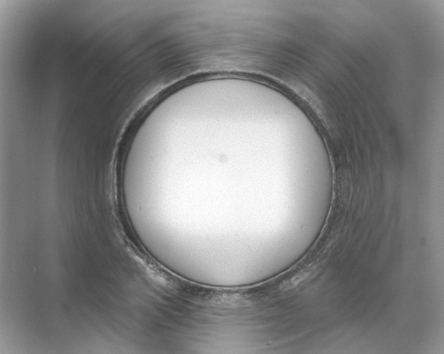 X0000073870982200608312048