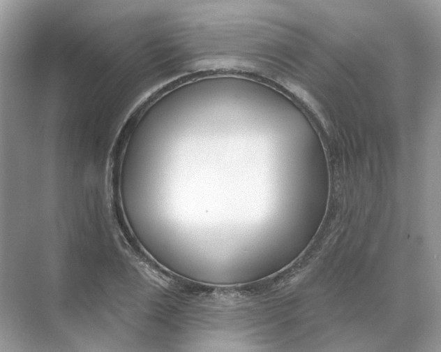 X0000073870983200608312048