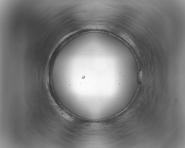 X0000073870984200608312048