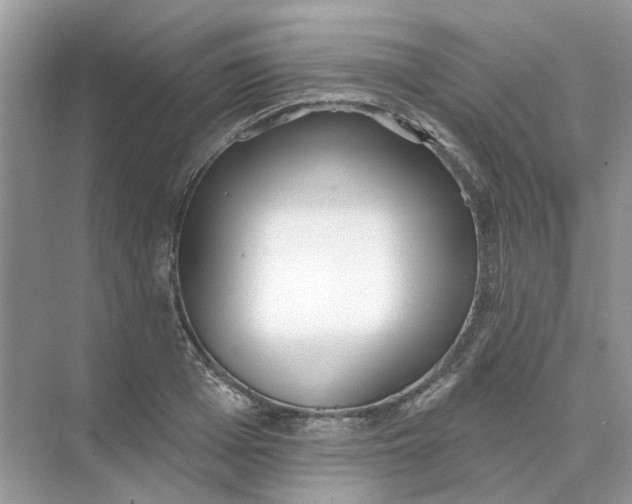 X0000073870985200608312048