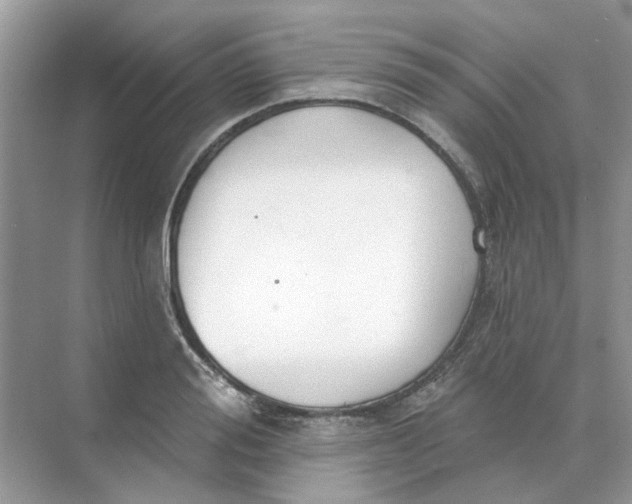 X0000073870988200608312048