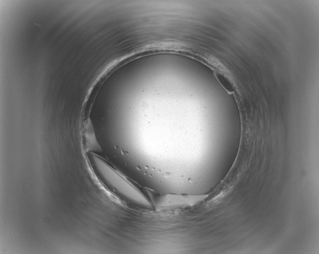 X0000073870989200608312048