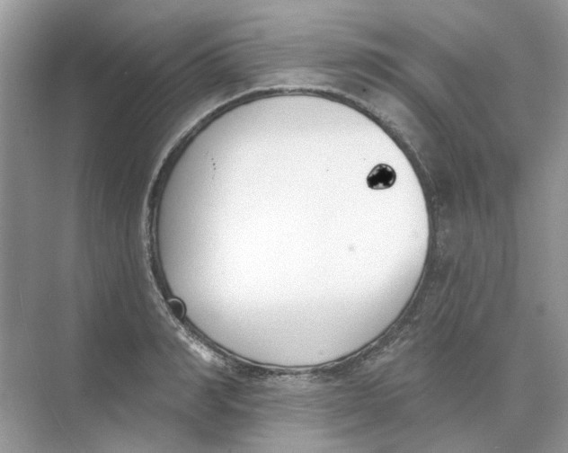 X0000073870990200608312048