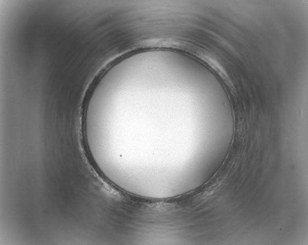 X0000073870992200608312048