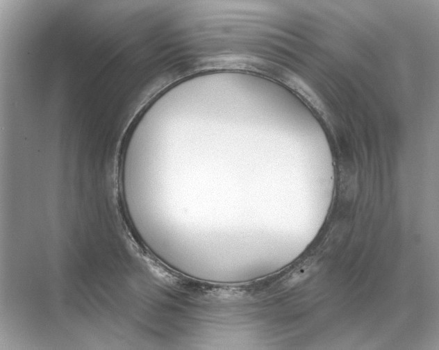 X0000073870994200608312048