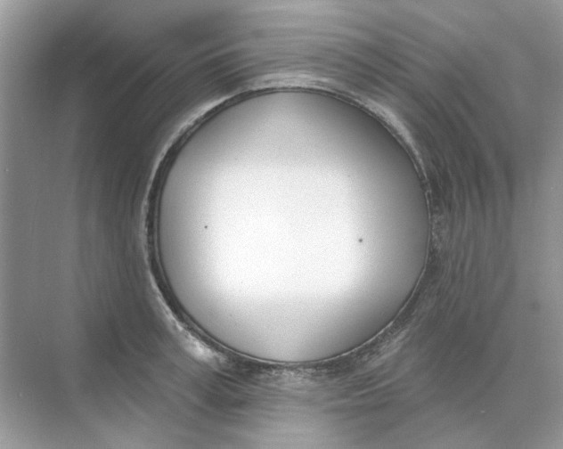 X0000073870995200608312048