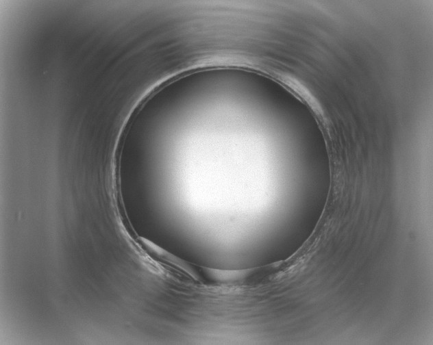 X0000073870996200608312048