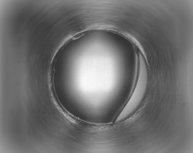 X0000073870997200608312048