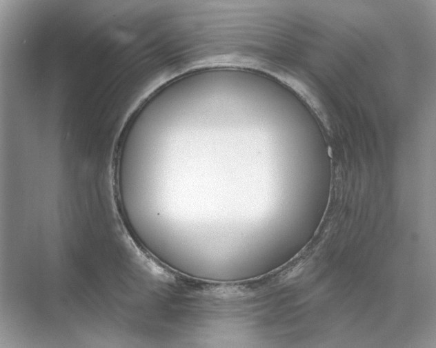 X0000073870998200608312048