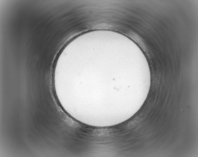 X0000073871000200608312048