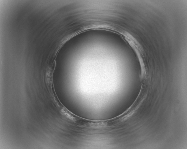 X0000073871001200608312048