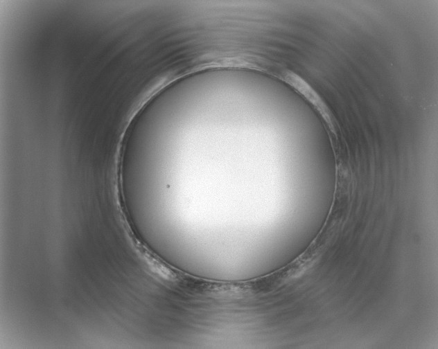 X0000073871002200608312048