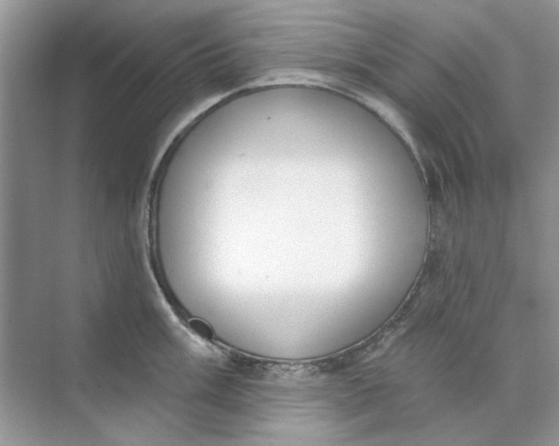 X0000073871003200608312048