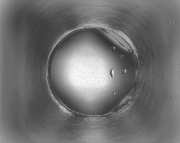 X0000073871005200608312048