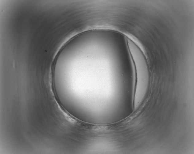 X0000073871006200608312048