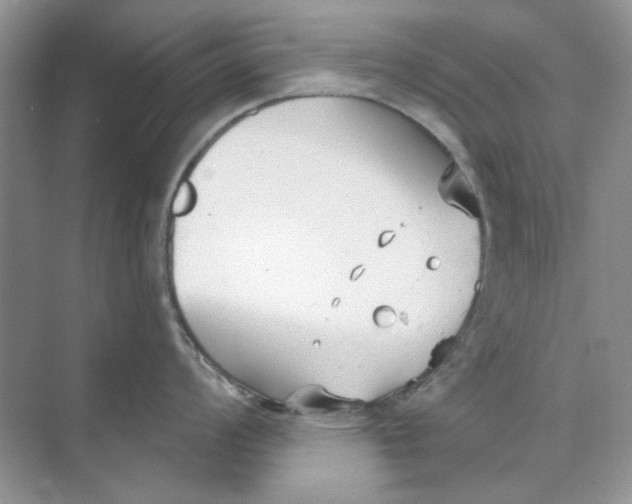 X0000073871008200608312047