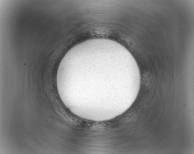 X0000073871009200608312047