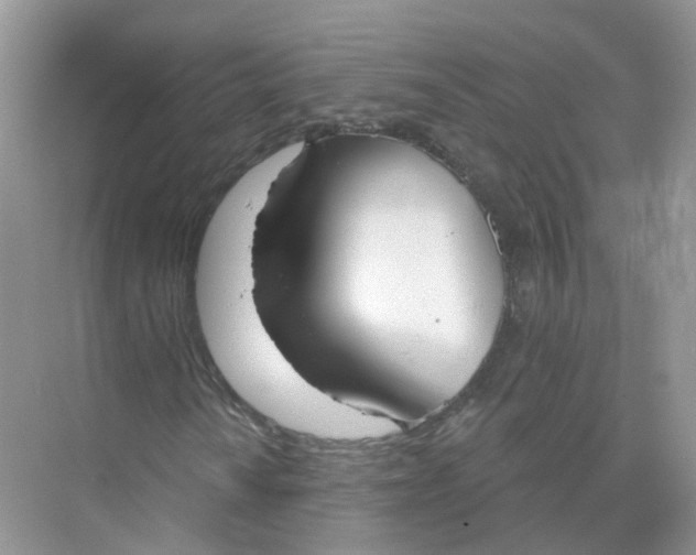 X0000073871010200608312047