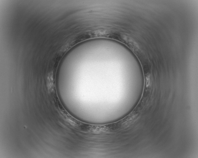 X0000073871011200608312047