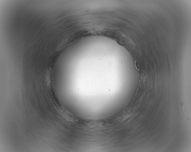 X0000073871012200608312047