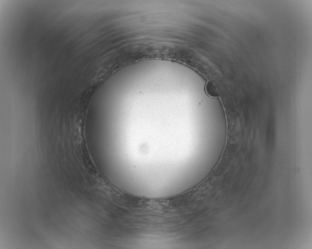 X0000073871013200608312047