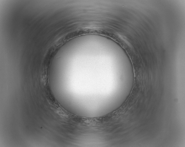 X0000073871015200608312047