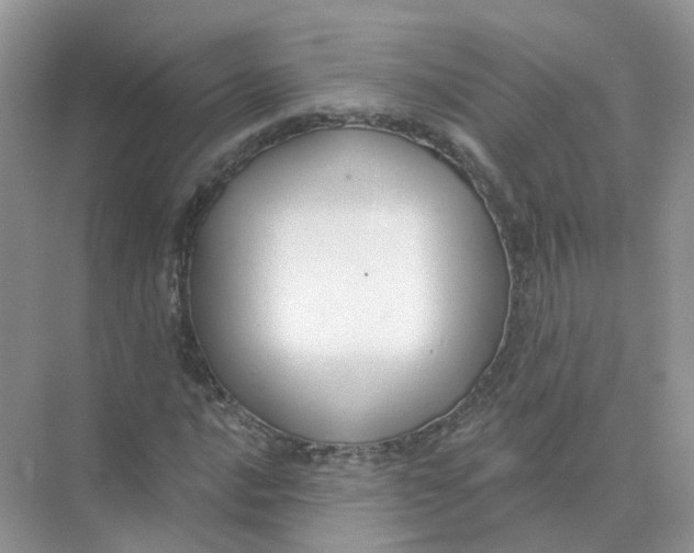 X0000073871016200608312047