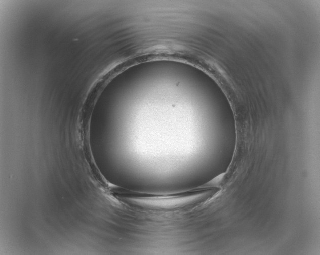 X0000073871018200608312047