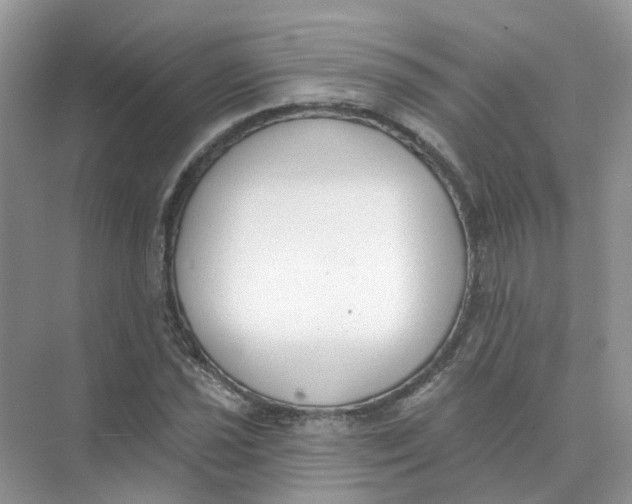 X0000073871021200608312047