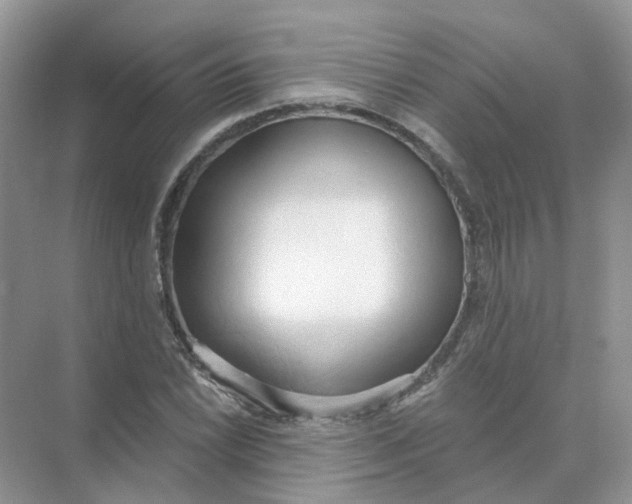 X0000073871022200608312047