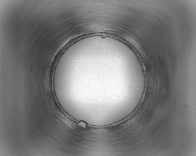 X0000073871023200608312047