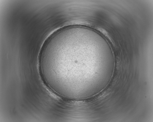 X0000073871024200608312047