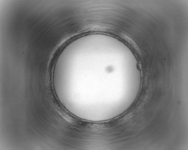 X0000073871027200608312047