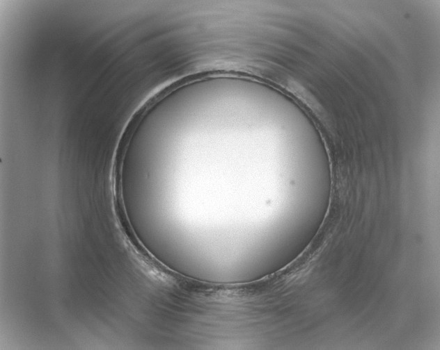 X0000073871028200608312047