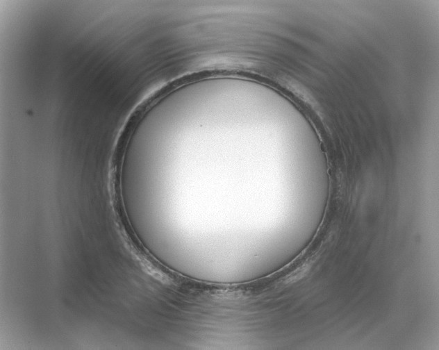 X0000073871029200608312047